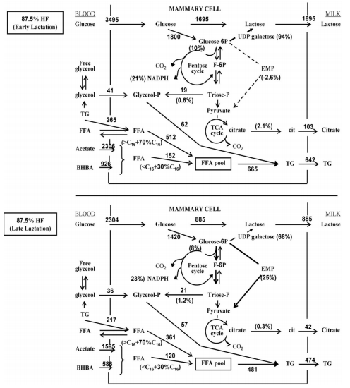 Control of Mammary Function During Lactation in Crossbred Dairy Cattle in the Tropics - Image 5