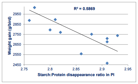 On Free Amino Acids: Their Role in Starch and Protein Digestive Dynamics - Image 2