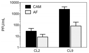 Growth Kinetics and Transmission Potential of Existing and Emerging Field Strains of Infectious Laryngotracheitis Virus - Image 2