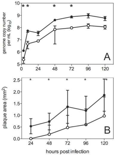 Growth Kinetics and Transmission Potential of Existing and Emerging Field Strains of Infectious Laryngotracheitis Virus - Image 1