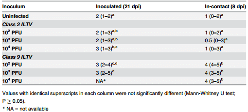 Growth Kinetics and Transmission Potential of Existing and Emerging Field Strains of Infectious Laryngotracheitis Virus - Image 5