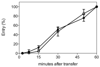 Growth Kinetics and Transmission Potential of Existing and Emerging Field Strains of Infectious Laryngotracheitis Virus - Image 3