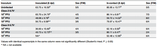 Growth Kinetics and Transmission Potential of Existing and Emerging Field Strains of Infectious Laryngotracheitis Virus - Image 4