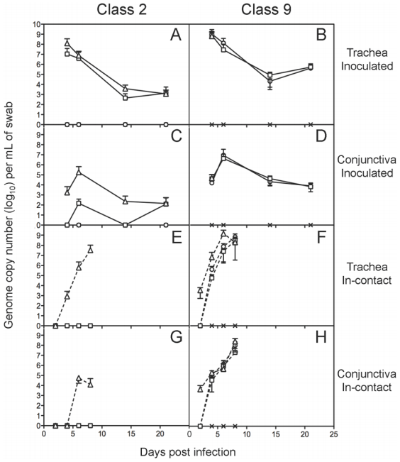 Growth Kinetics and Transmission Potential of Existing and Emerging Field Strains of Infectious Laryngotracheitis Virus - Image 6