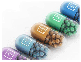Tracing the importance of Trace minerals - Image 3