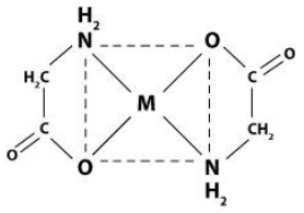 Tracing the importance of Trace minerals - Image 12