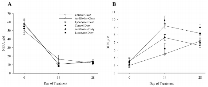 Lysozyme as an alternative to antibiotics improves performance in nursery pigs during an indirect immune challenge1,2 - Image 6