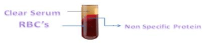 Disease Prevention Using Elisa Technique - Image 4