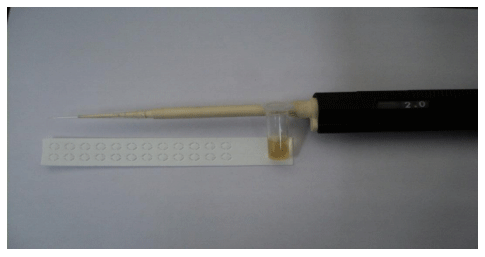 Disease Prevention Using Elisa Technique - Image 5