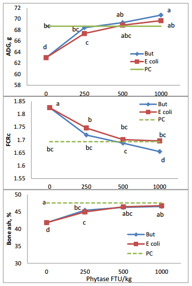 Performance and Nutrient Digestability in Broilers in Response to Increasing Doses of Phytase - Image 2