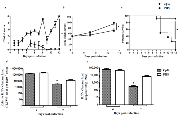 In Ovo Delivery of CpG DNA Reduces Avian Infectious Laryngotracheitis Virus Induced Mortality and Morbidity - Image 5