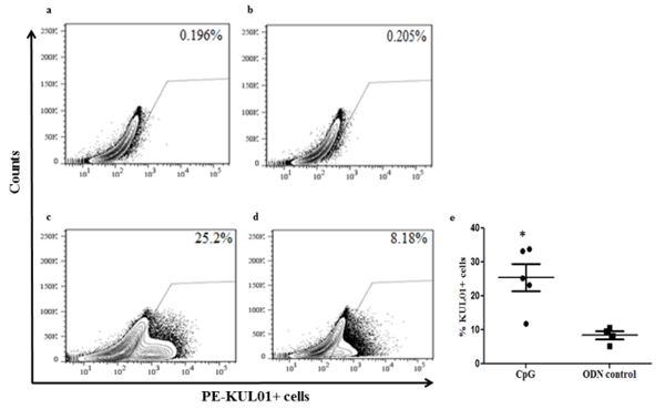 In Ovo Delivery of CpG DNA Reduces Avian Infectious Laryngotracheitis Virus Induced Mortality and Morbidity - Image 4