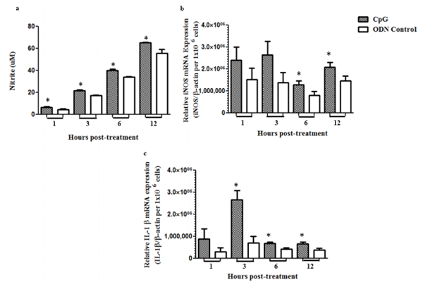 In Ovo Delivery of CpG DNA Reduces Avian Infectious Laryngotracheitis Virus Induced Mortality and Morbidity - Image 2