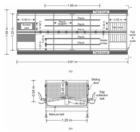 Comparative evaluation of three egg production systems: Housing characteristics and management practices - Image 10