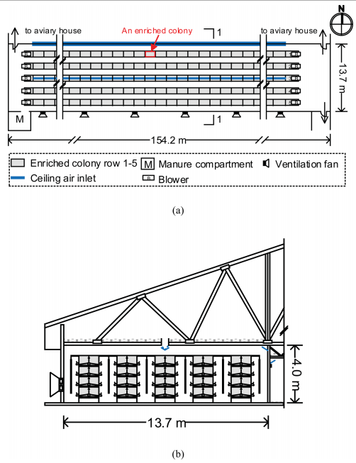Comparative evaluation of three egg production systems: Housing characteristics and management practices - Image 9