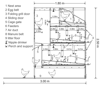 Comparative evaluation of three egg production systems: Housing characteristics and management practices - Image 8