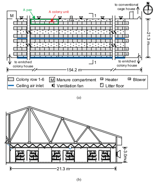 Comparative evaluation of three egg production systems: Housing characteristics and management practices - Image 7