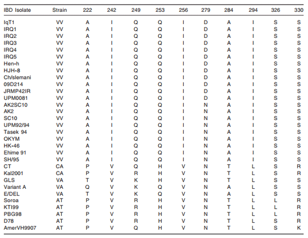 Molecular Characterization of Local Isolates of Infectious Bursal Disease Virus from Broiler Chickens in Iraq - Image 3
