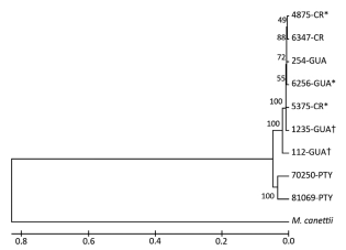 Mycobacterium bovis in Panama - Image 2