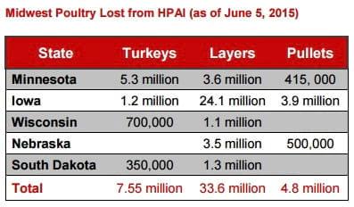 HPAI outbreaks: Slowing now, but new wave ahead - Image 1