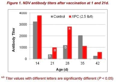 Chickens: Feed supplementation to affect the rate and level of immune response - Image 2