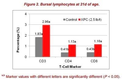 Chickens: Feed supplementation to affect the rate and level of immune response - Image 3