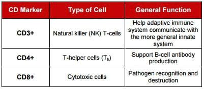 Chickens: Feed supplementation to affect the rate and level of immune response - Image 1