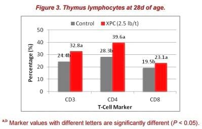 Chickens: Feed supplementation to affect the rate and level of immune response - Image 4