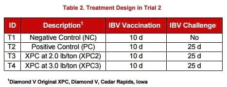 Infectious bronchitis: Reducing clinical signs in chickens - Image 2