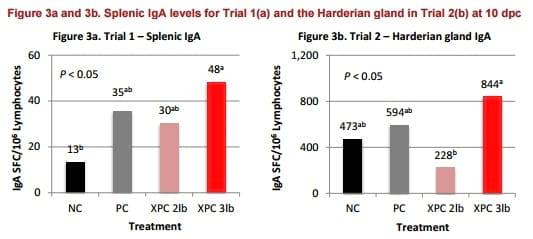 Infectious bronchitis: Reducing clinical signs in chickens - Image 4