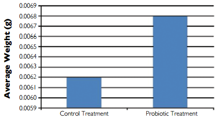 Bacillus Probiotics Improve Hatchery, Nursery Production In EMS-Hit Mexico - Image 3
