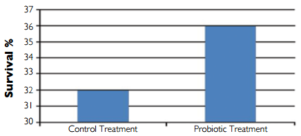 Bacillus Probiotics Improve Hatchery, Nursery Production In EMS-Hit Mexico - Image 1