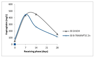 Positive impact of organic trace elements in ruminants - Image 6