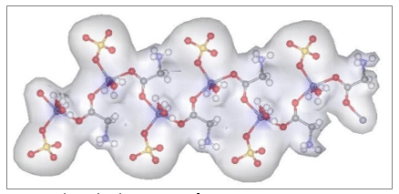 Positive impact of organic trace elements in ruminants - Image 1