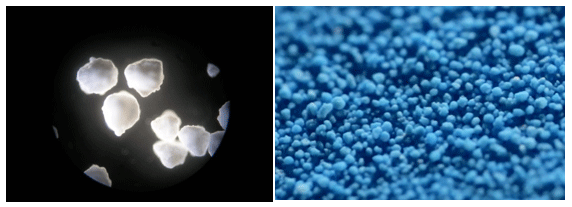 Positive impact of organic trace elements in ruminants - Image 3