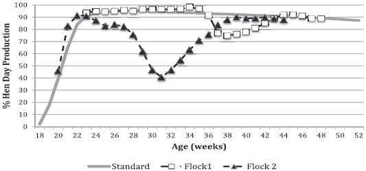 Avian Hepatitis E Virus Infection in Organic Layers - Image 1