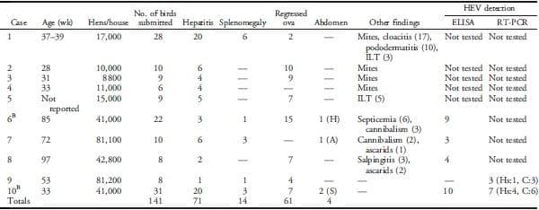 Avian Hepatitis E Virus Infection in Organic Layers - Image 2