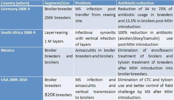 Avian Mycoplasma Control - Central for antibiotic independent production - Image 8