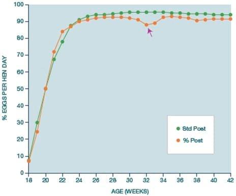 Avian Mycoplasma Control - Central for antibiotic independent production - Image 16