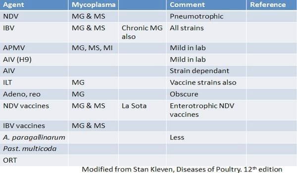 Avian Mycoplasma Control - Central for antibiotic independent production - Image 4