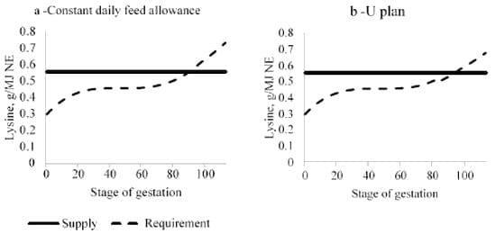 Amino Acid Nutritions of the Prolific Sow - Image 3
