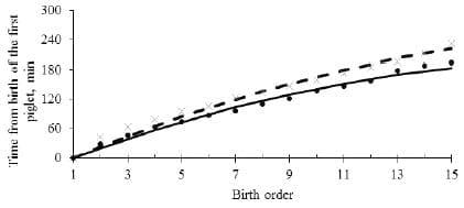 Amino Acid Nutritions of the Prolific Sow - Image 2