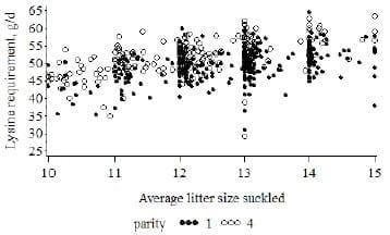 Amino Acid Nutritions of the Prolific Sow - Image 5