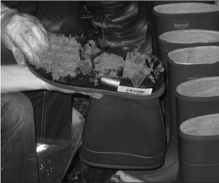 An evaluation of Stalosan F powder for deactivation of PRRSv - Image 4