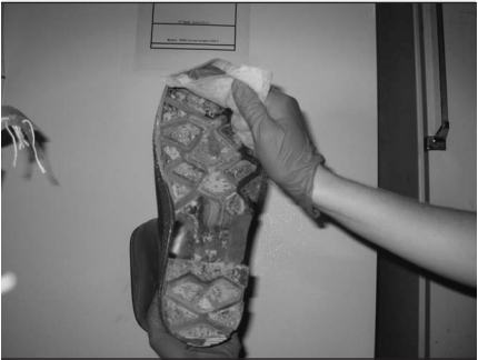 An evaluation of Stalosan F powder for deactivation of PRRSv - Image 2