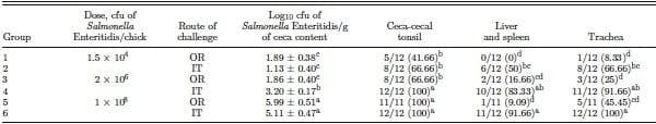 Evaluation of the respiratory route as a viable portal of entry for Salmonella in poultry - Image 3