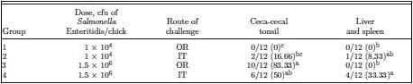 Evaluation of the respiratory route as a viable portal of entry for Salmonella in poultry - Image 2