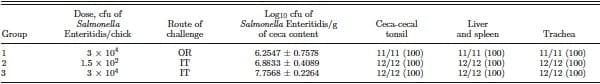 Evaluation of the respiratory route as a viable portal of entry for Salmonella in poultry - Image 1