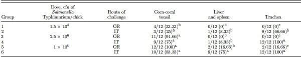Evaluation of the respiratory route as a viable portal of entry for Salmonella in poultry - Image 4