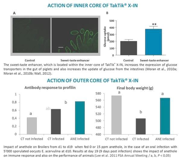 A new “TakTik®” for Animal Nutrition - Image 1